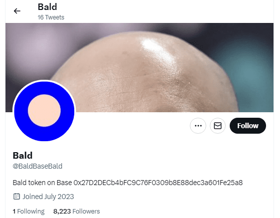 Screenshot of the BALD token Twitter account showing a bald head as cover image and over 8,000 followers, with no project website or verified identity - GNcrypto