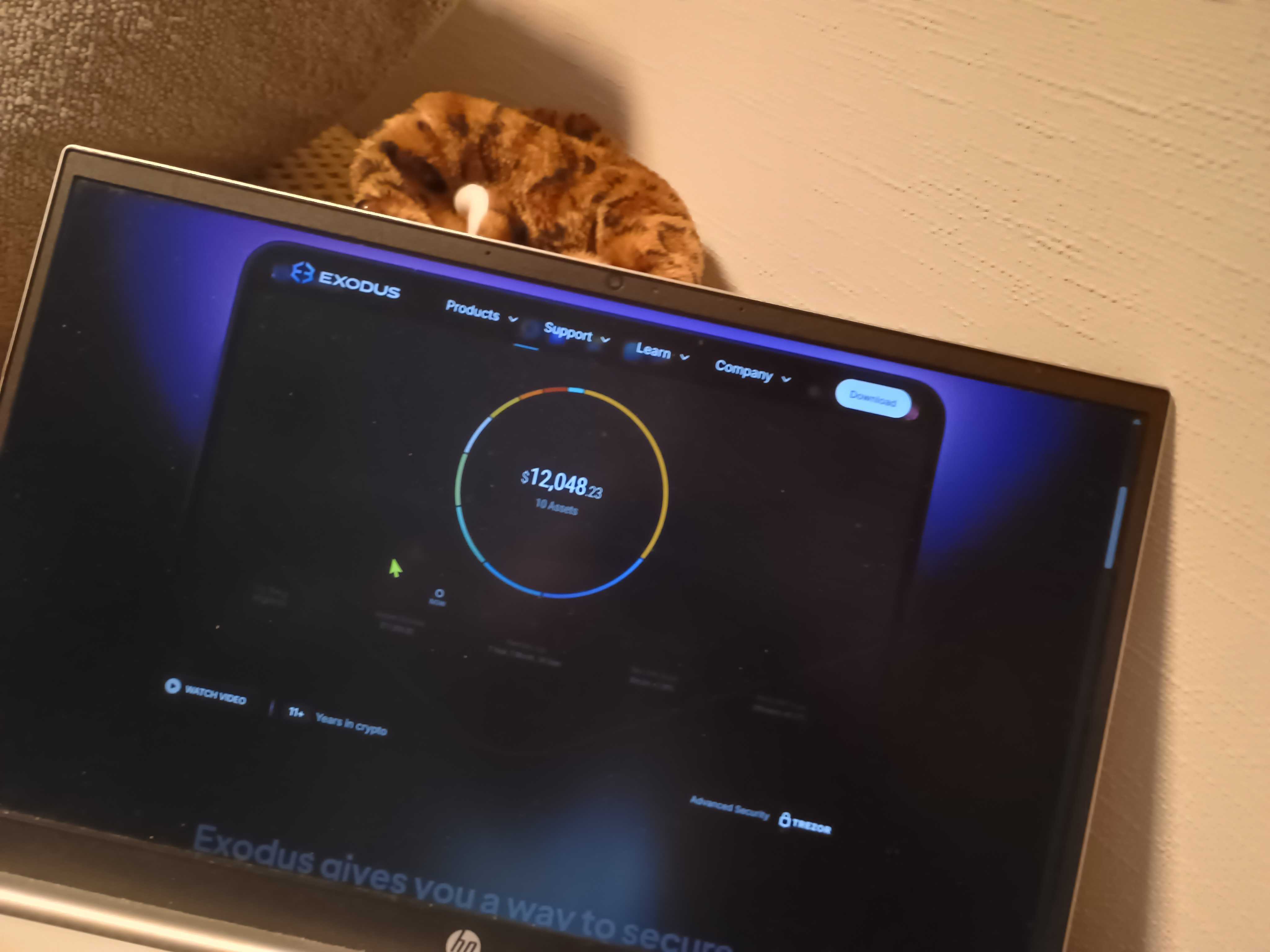 Exodus Bitcoin wallet review 2026: UX king or fee trap? - GNcrypto