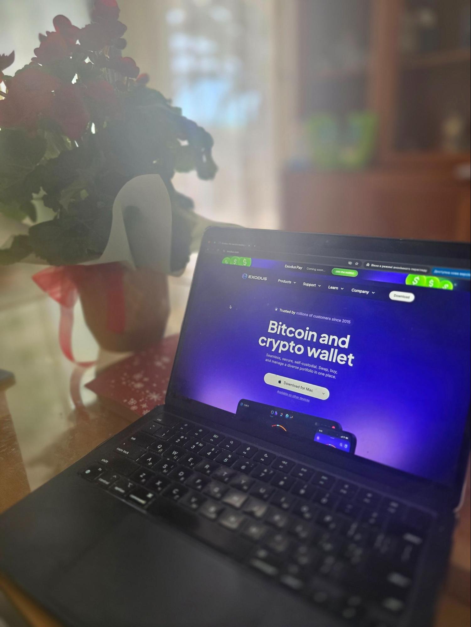 Best crypto wallets 2026: top non-custodial wallets for everyday use