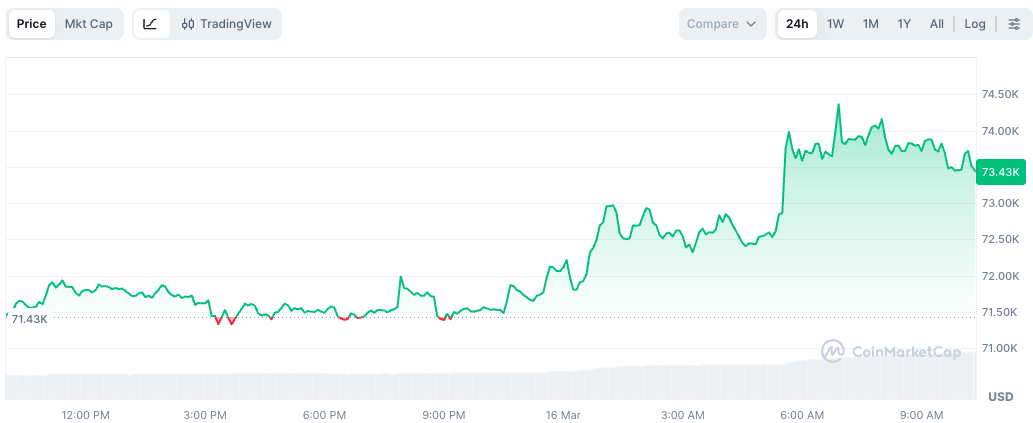 Bitcoin price chart - GNcrypto